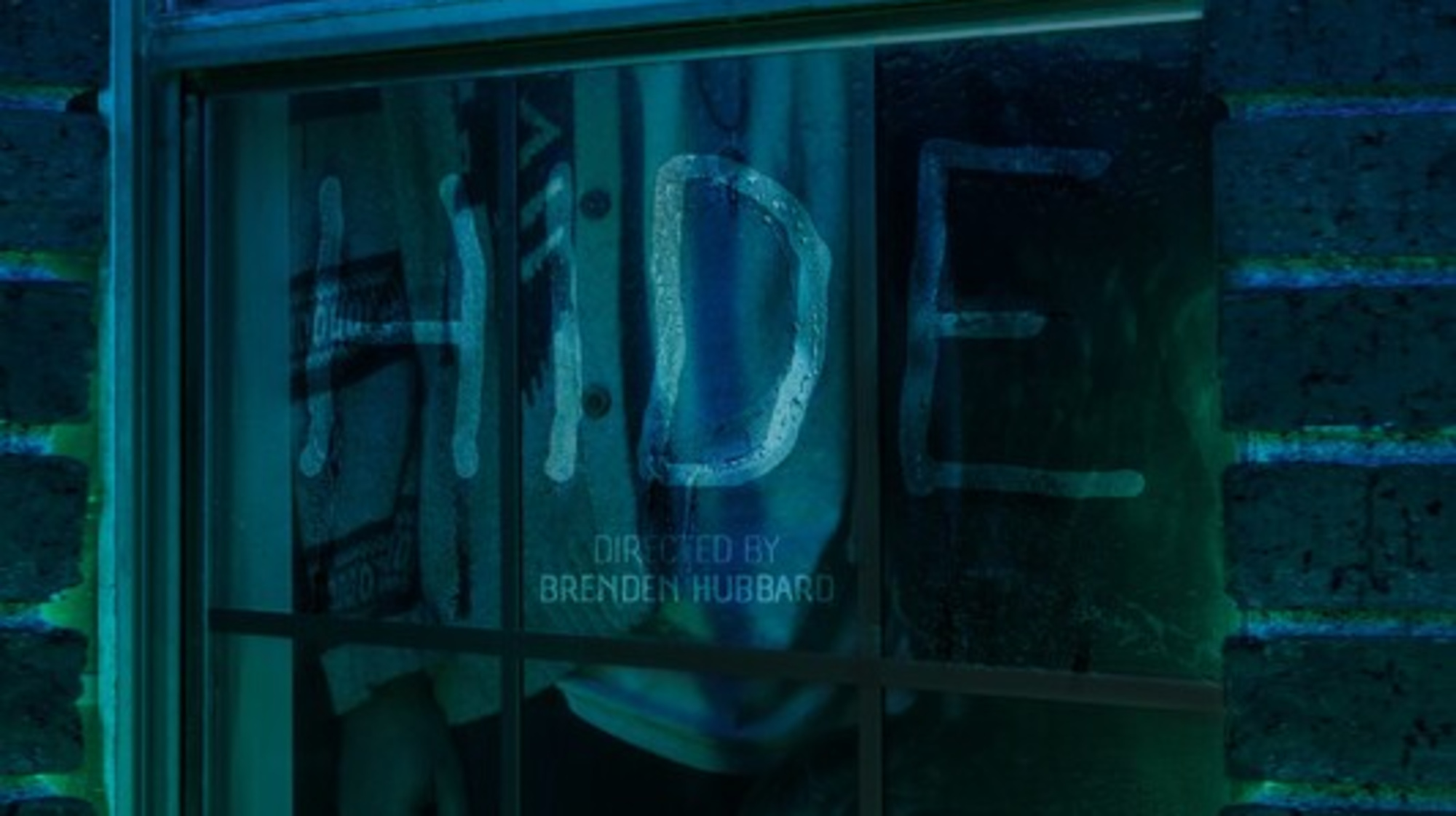 Hide